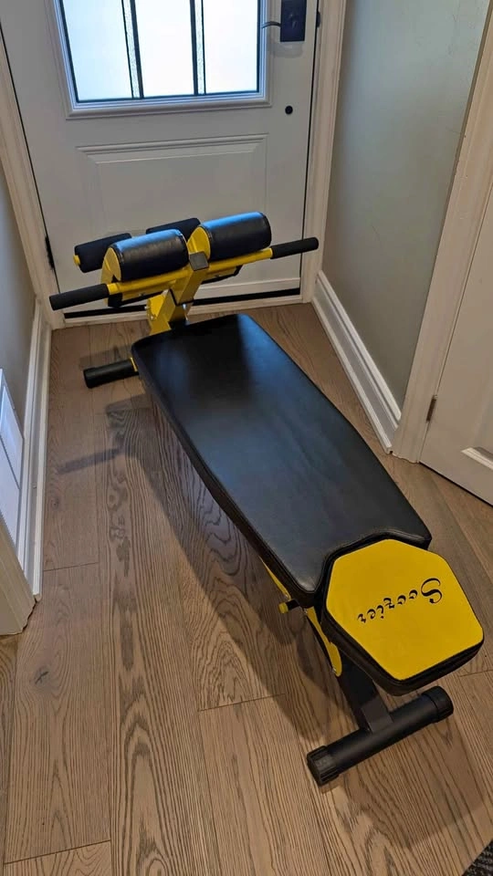 Sit-up/ab bench