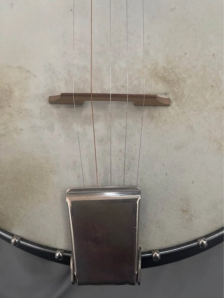 Harmony Banjo - photo 5