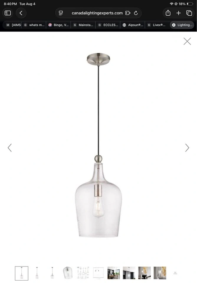Livex® Glass Pendant light