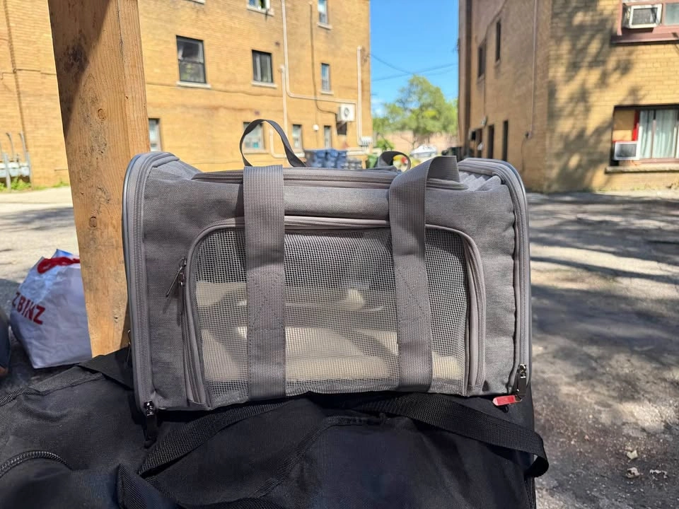 Soft-Sided Pet Carrier