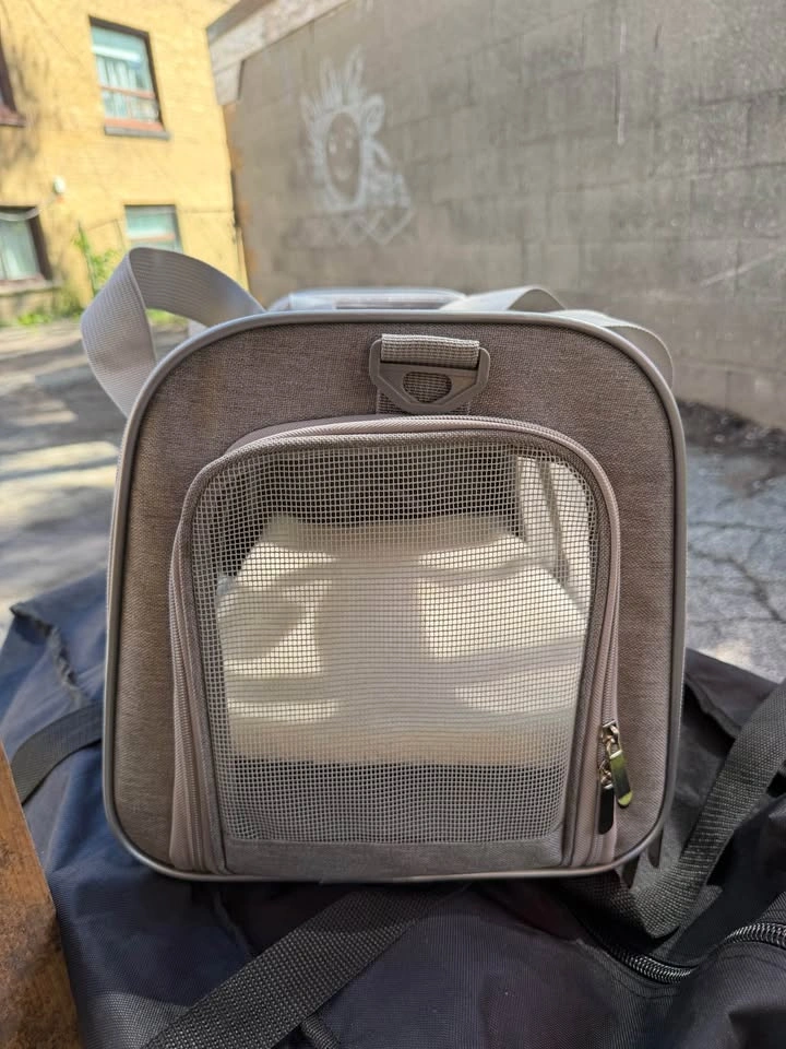Soft-Sided Pet Carrier - photo 4