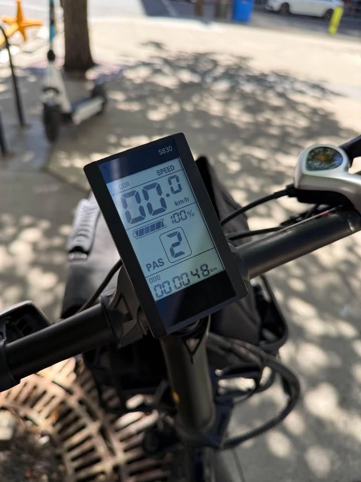 Cycrown Free Step Thru Electric Bike - photo 5