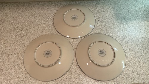Set Of 3 Pier 1 Sanctuary Stoneware 11-1/2" Dinner Plates - photo 2