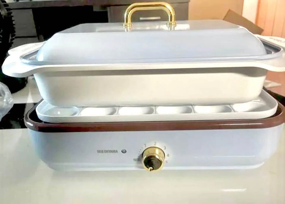 Iris ohyama Hot Plate