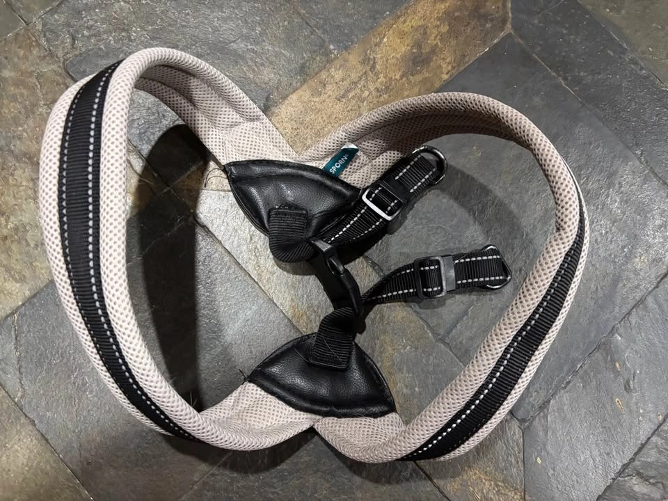 Dog Adjustable Harness Sporn Brand LG/XL - photo 3