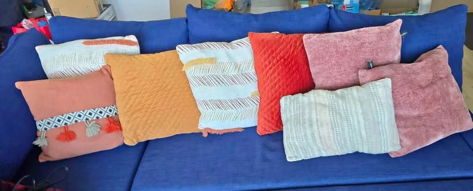 Assorted Decorative Throw Pillows