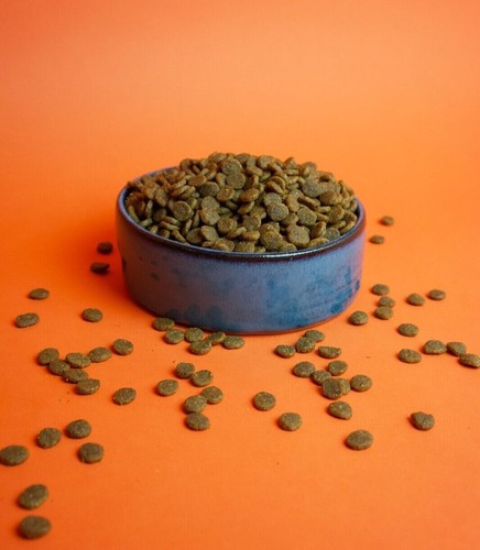Handade Blue Ceramic Dog Food Bowl | Dog Water Bowl