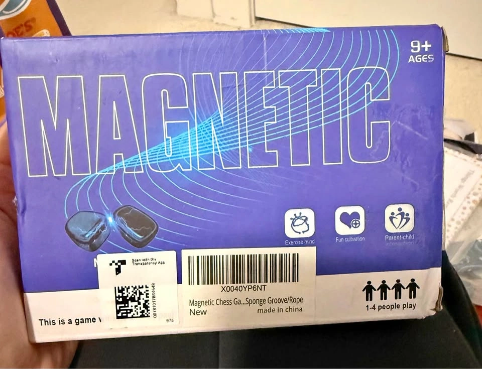 Magnetic Chess Game