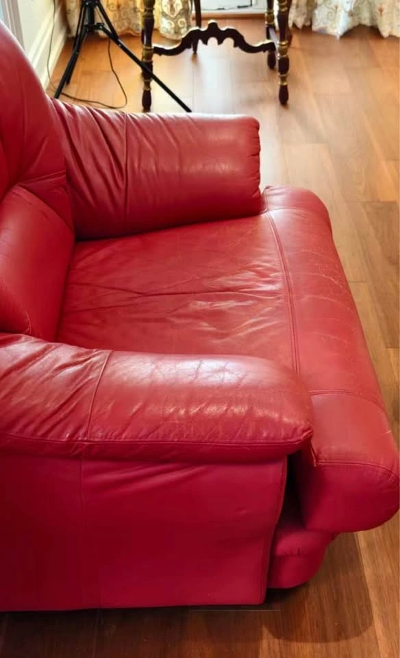 Vibrant Red Genuine Leather Armchair / Oversized Reading Chair - photo 4