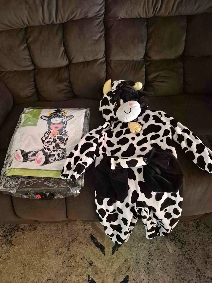 Halloween Cow