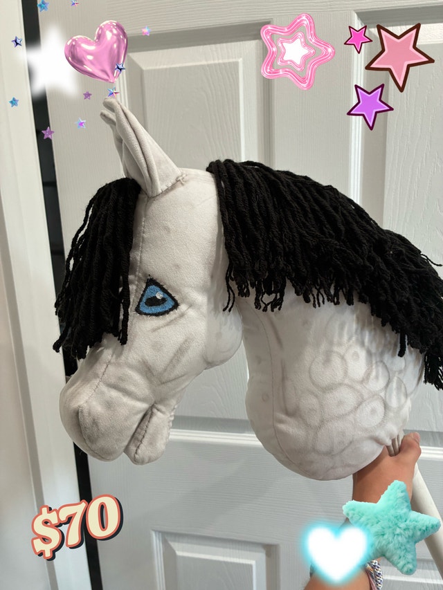 Hobby horse