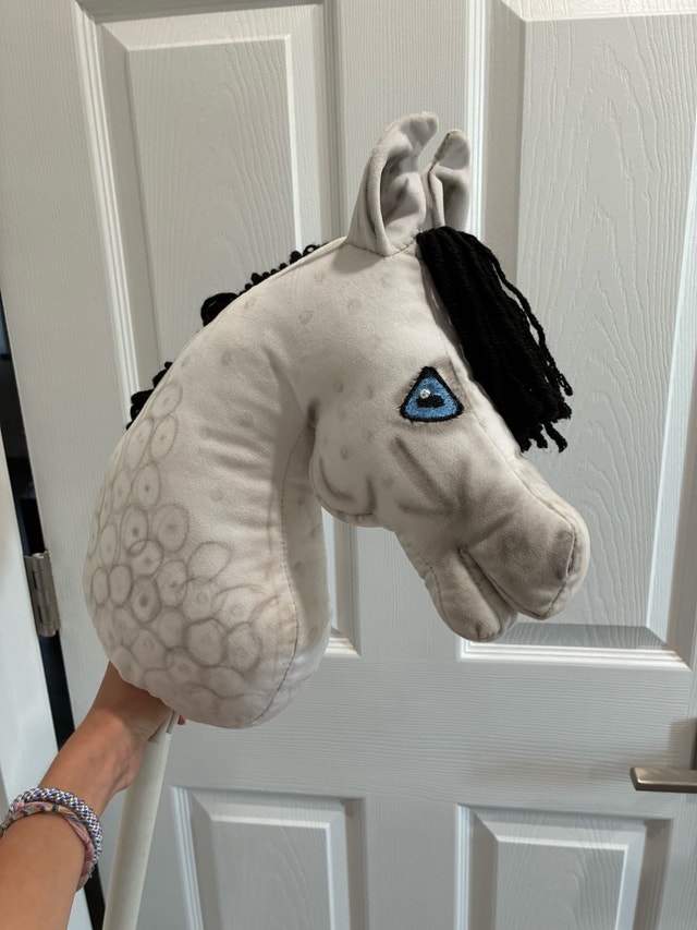Hobby horse - photo 2