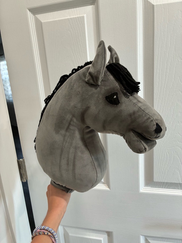 Hobby horse - photo 2
