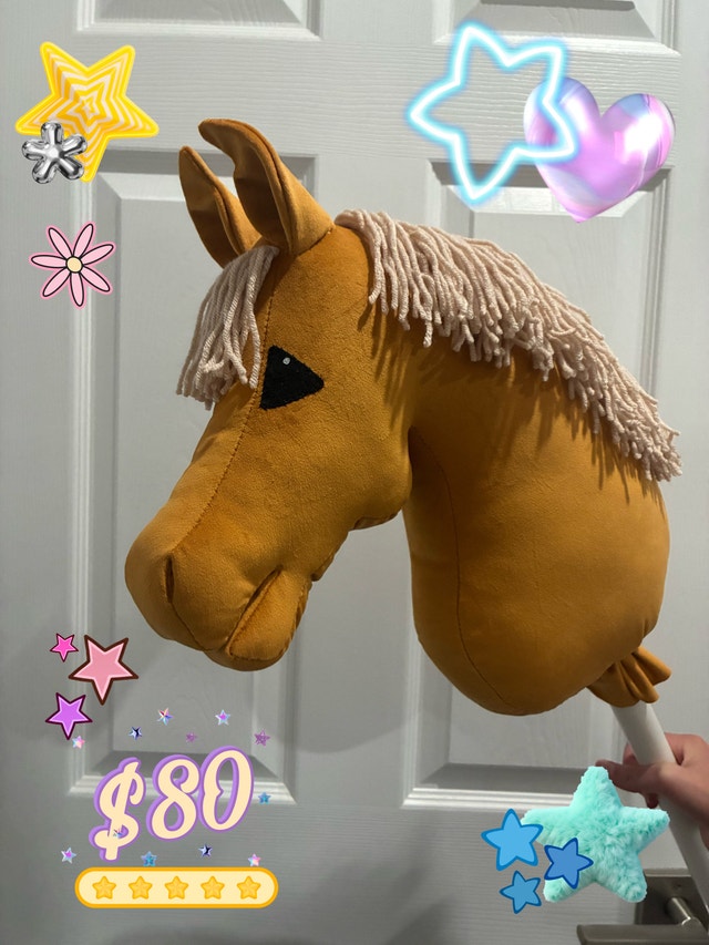 Hobby Horse