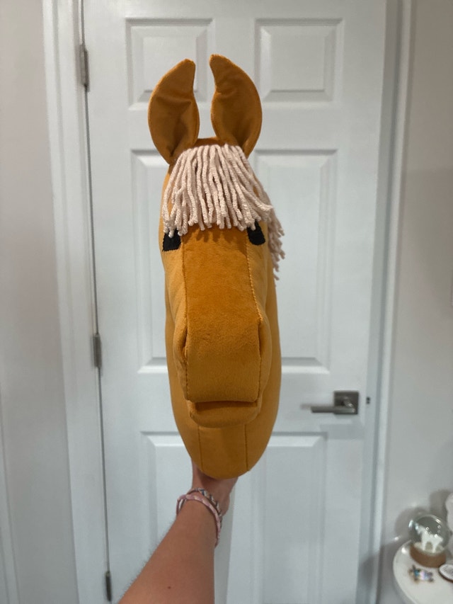 Hobby Horse - photo 2