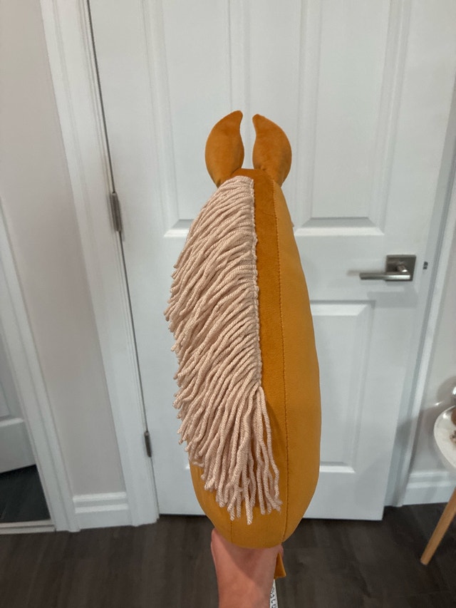 Hobby Horse - photo 3
