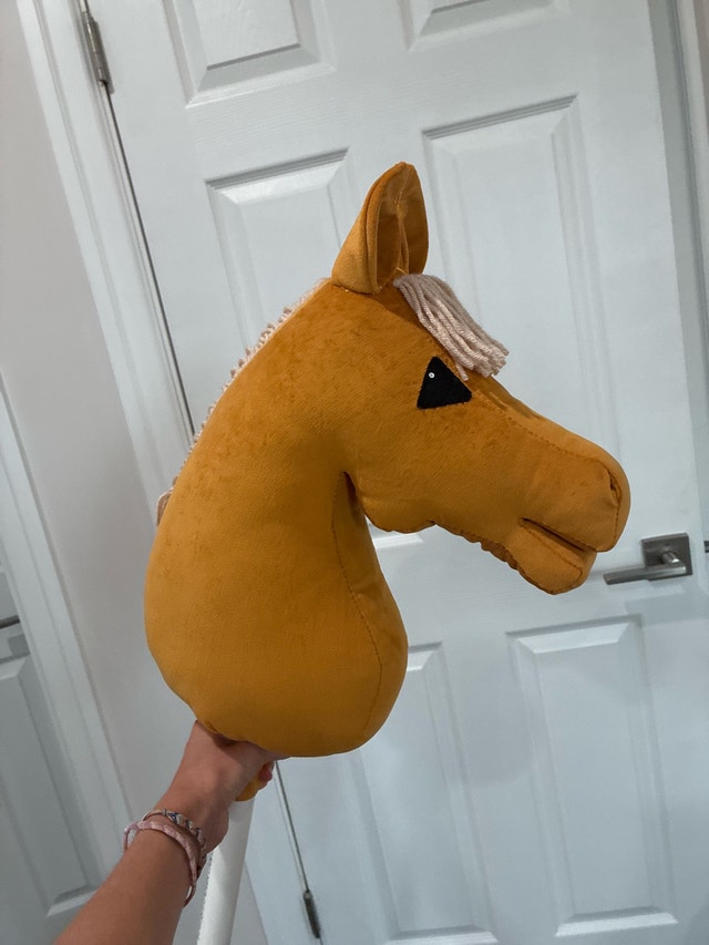 Hobby Horse - photo 4
