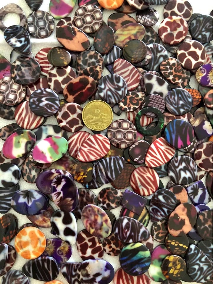 Painted Shells (assorted)
