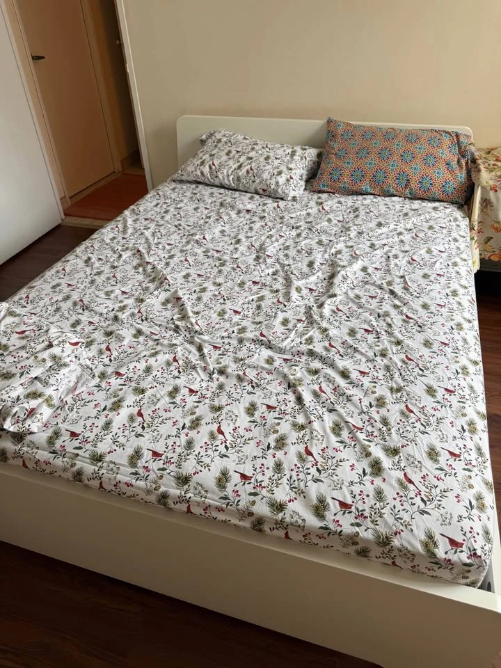 Queen size - BED FRAME ONLY - photo 4