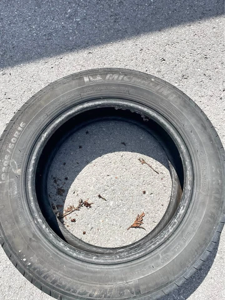 Michelin Radial X P205/60R16 Tire X2
