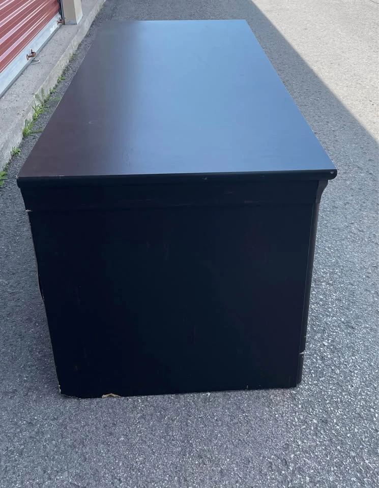 Black TV Stand with Glass Doors (can deliver) - photo 5