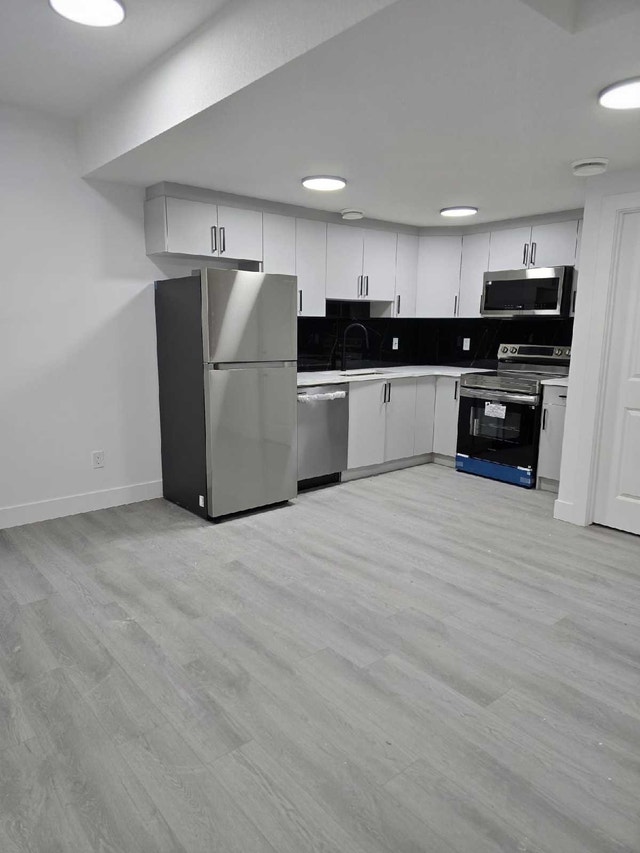 2 bedroom basement suite