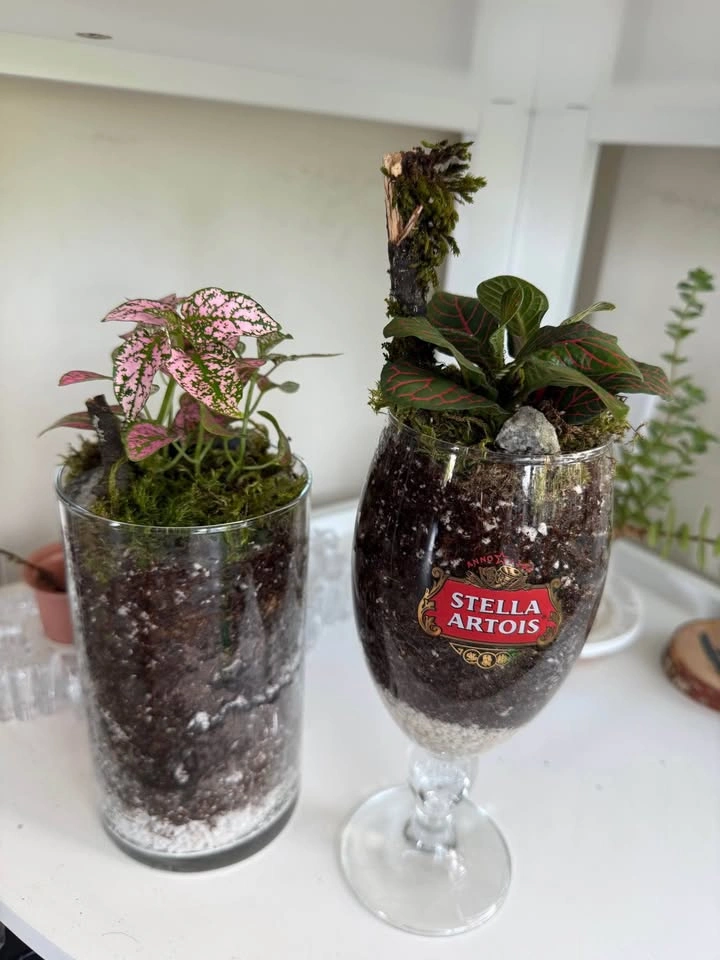 Handmade Glass Plant Terrarium - photo 2