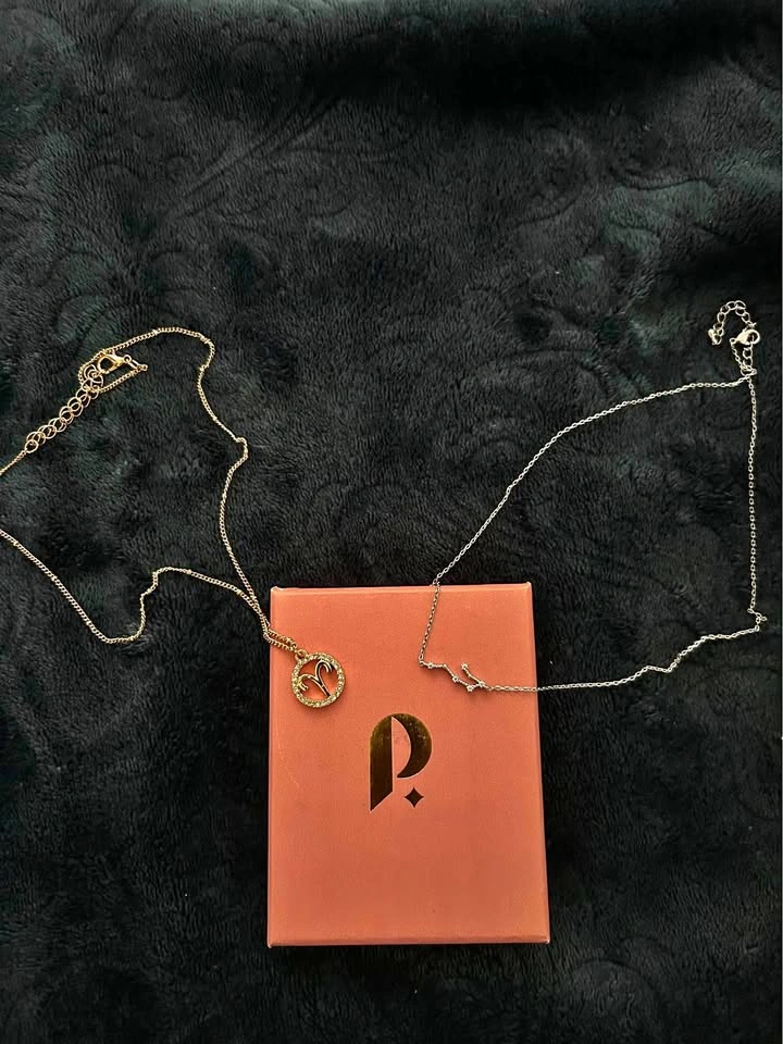Aries Crystal Coin Zodiac and Aquarius Constellation Necklace