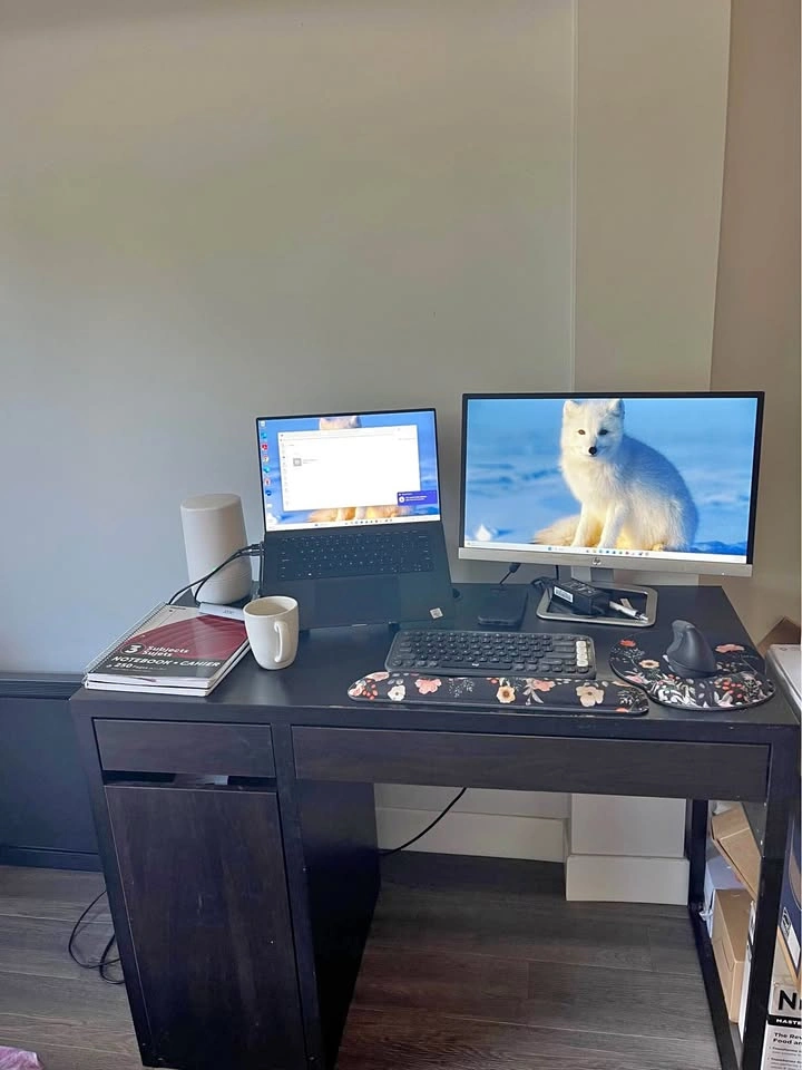 Home work office set up sale