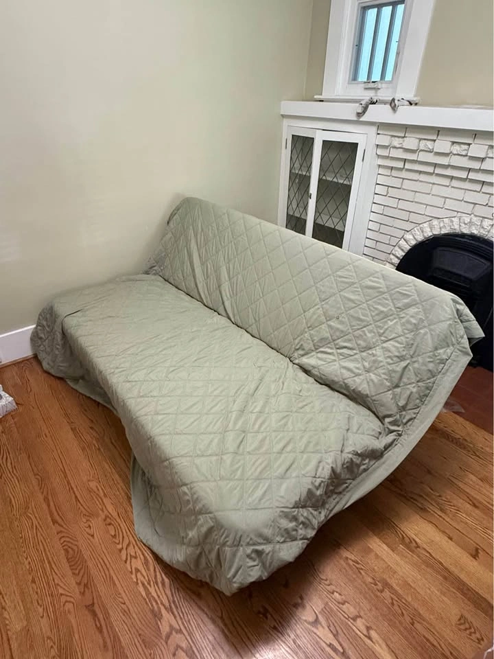IKEA NYHAMN Convertible Futon / Sofa Bed - photo 5