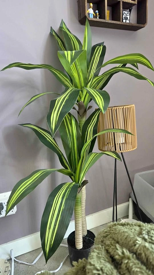 Faux 4 ft Dracaena Tree