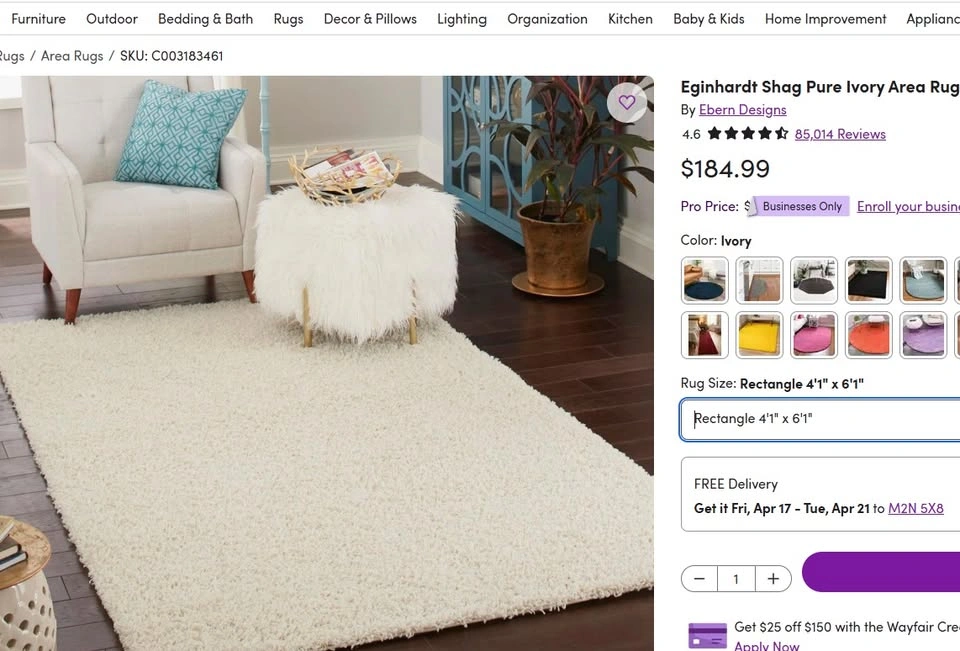 Eginhardt Shag Pure Ivory Area Rug 4'1" x 6'1" - photo 2