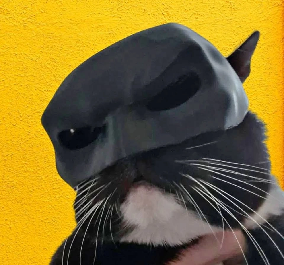 Cat batman mask (Batcat)