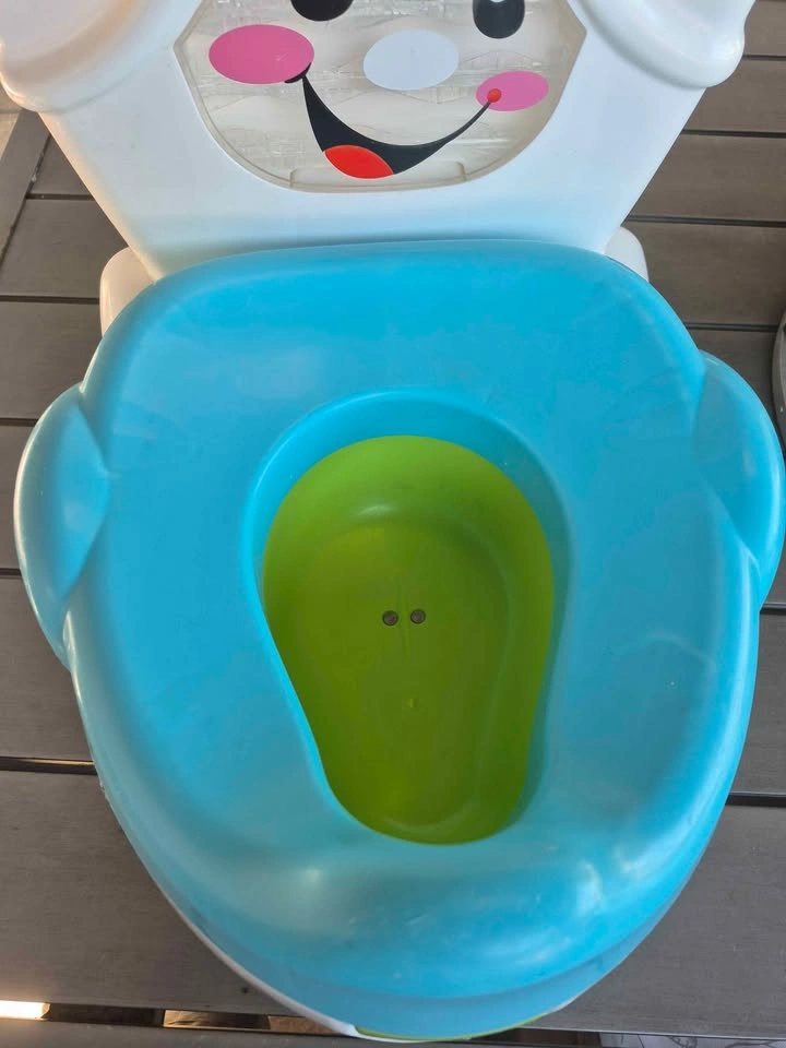 Fisher-Price Learn-to-Flush Potty - photo 2