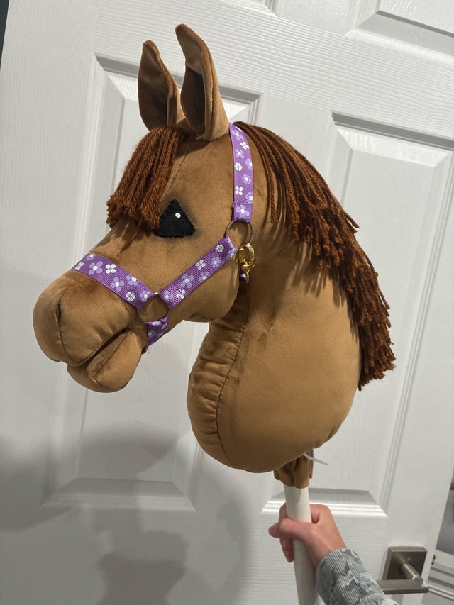 Halter For Hobby Horse