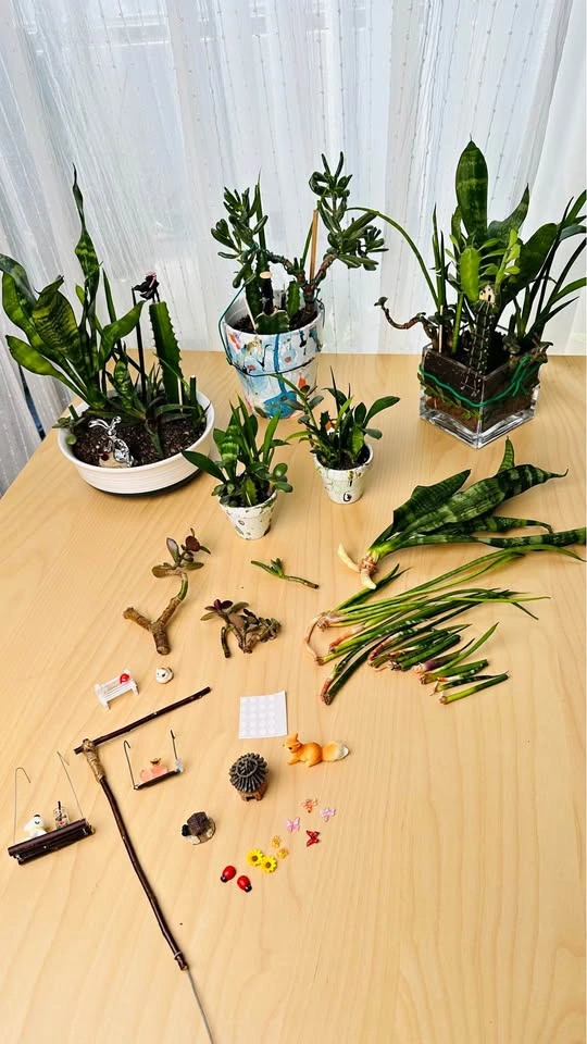 DIY cute plant arrangement bundle/ price for all