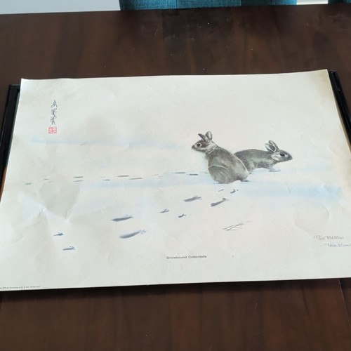 Frank T. Gee Snowbound Cottontails 1976 Signed Numbered Print