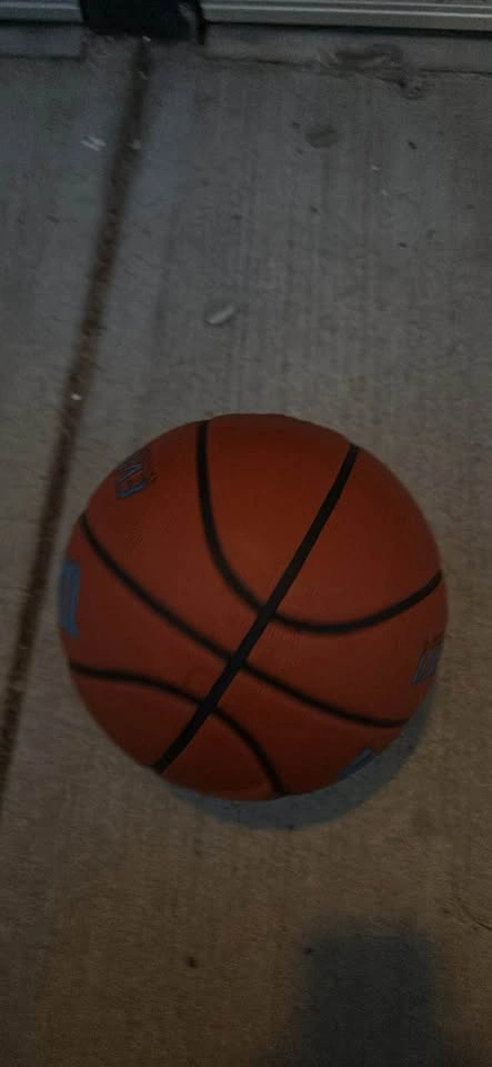 Brand new Wilson evolution basketball - photo 3