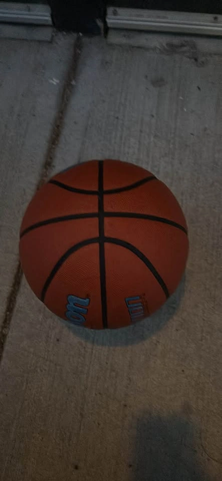 Brand new Wilson evolution basketball - photo 4