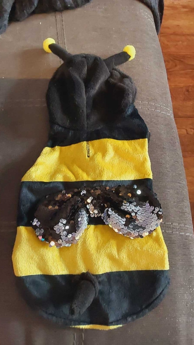 Small and extra small Dog Clothing Bundle