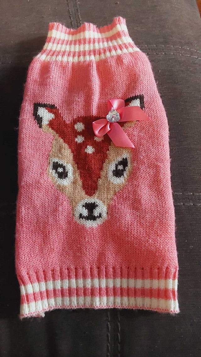 Small and extra small Dog Clothing Bundle - photo 2