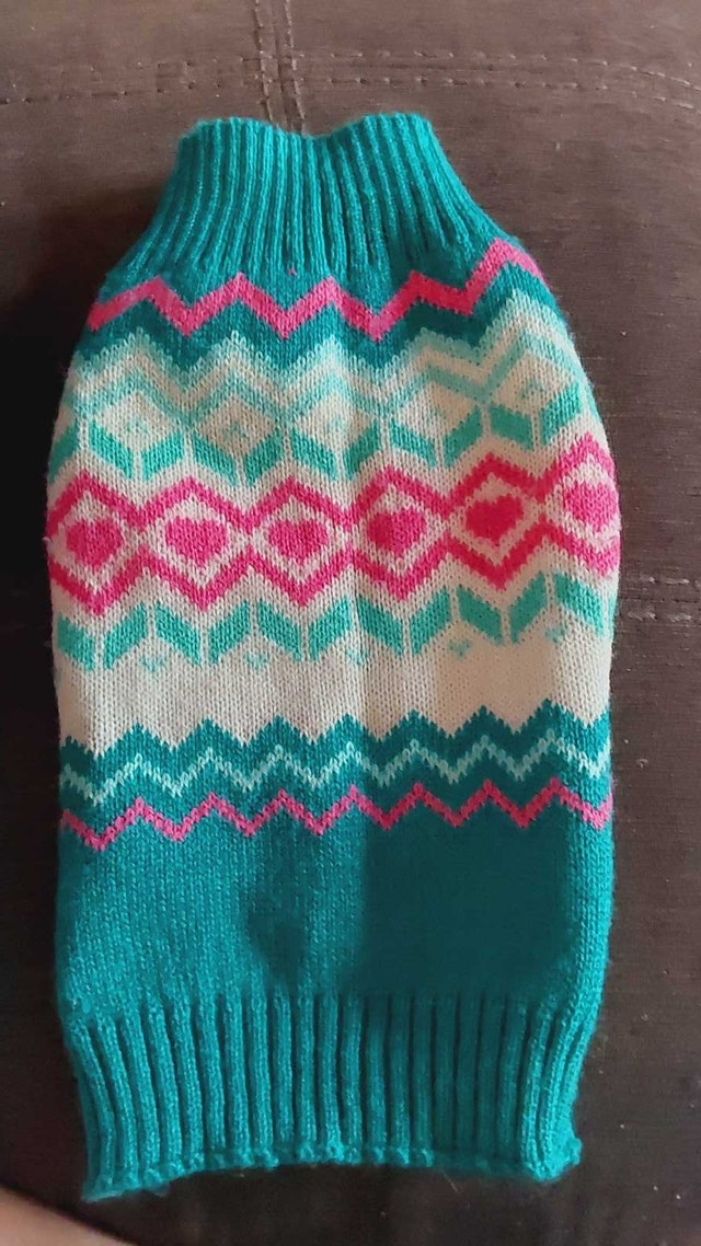 Small and extra small Dog Clothing Bundle - photo 3