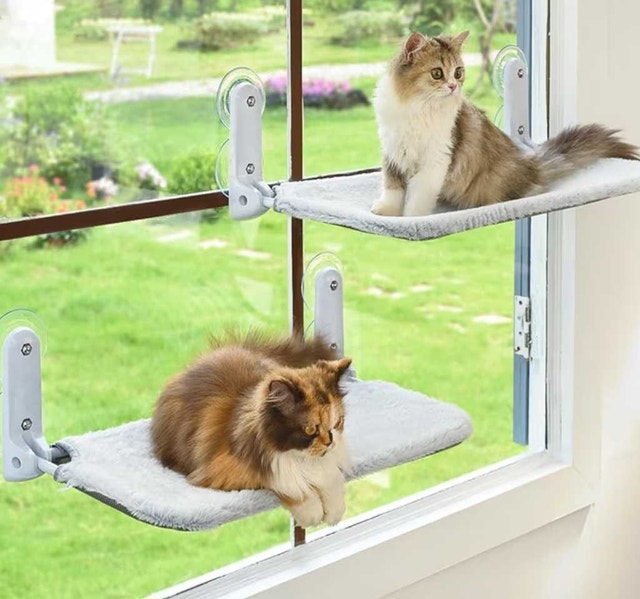 Cat Hammock