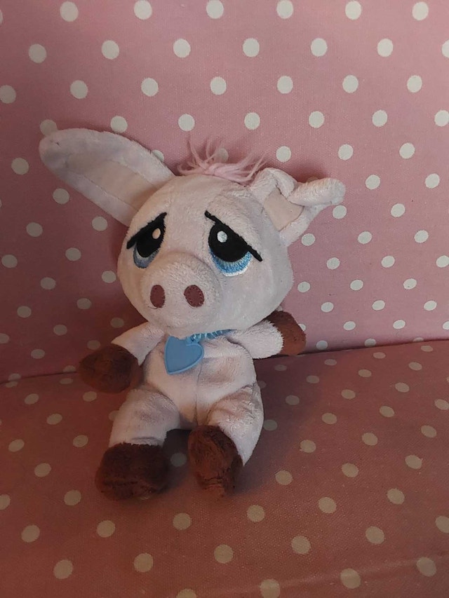 Webkinz no codes - photo 3