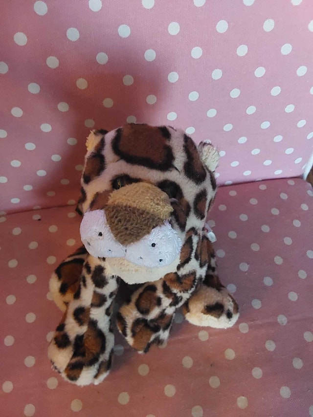 Webkinz no code - photo 3