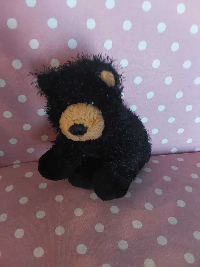 Webkinz no code - photo 4