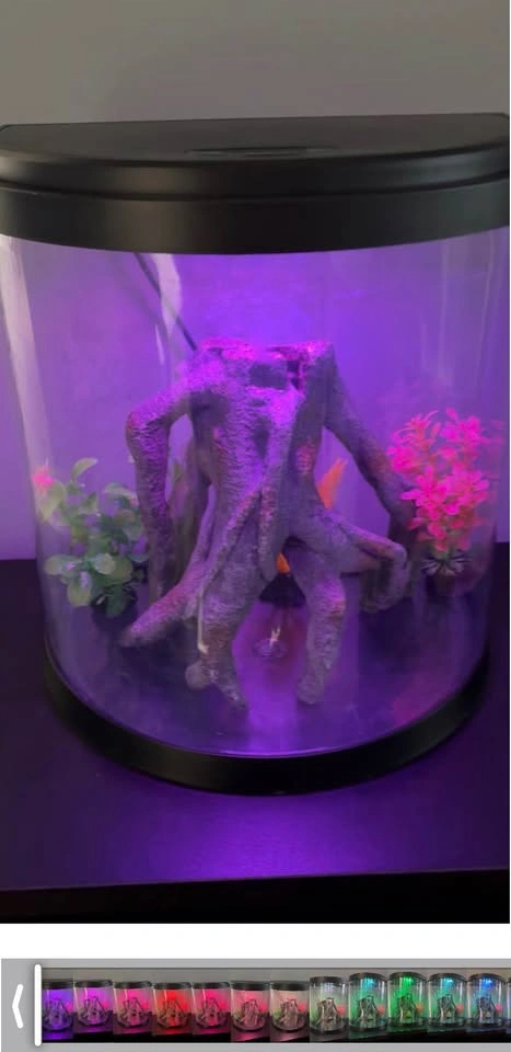 3-Gallon Half Moon Aquarium - photo 3