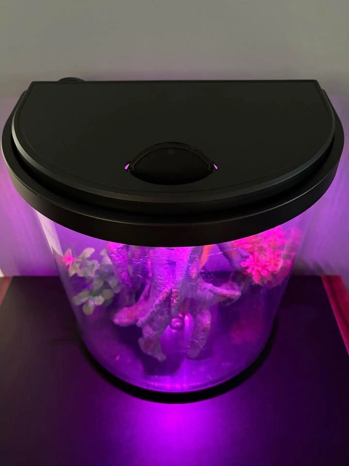3-Gallon Half Moon Aquarium - photo 5