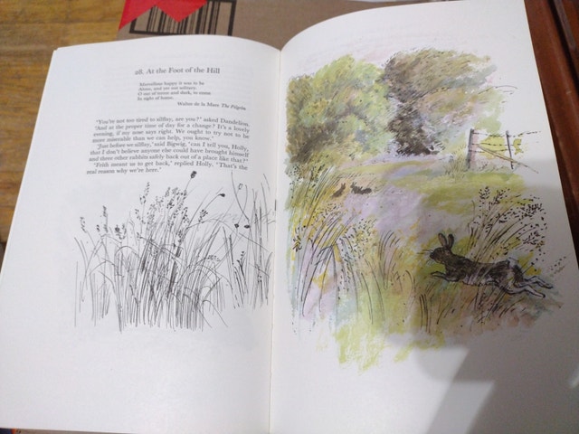 Watership Down - Illustrated hardcover - $15 OBO - photo 2