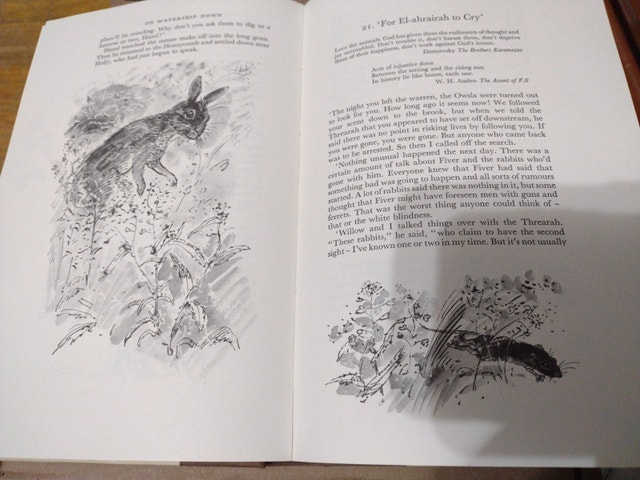 Watership Down - Illustrated hardcover - $15 OBO - photo 3